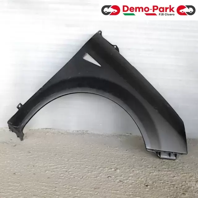 PARAFANGO DX Renault MEGANE  0