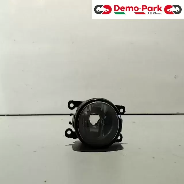 FARETTO FENDINEBBIA DX Peugeot 307  0