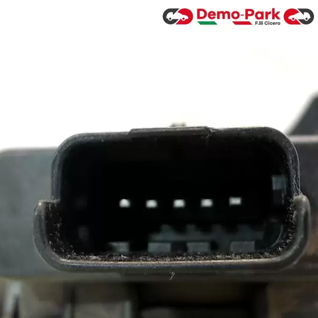 PEDALE ACCELERATORE Peugeot 207 - 1.6 HDI 6PV 009 083-00 2